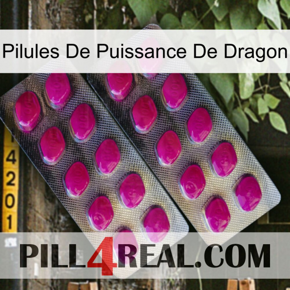 Dragon Power Pills 10